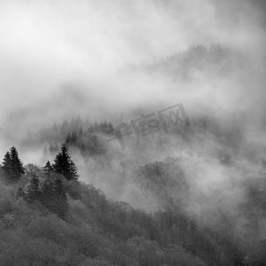 黑色和白色美丽的薄雾冬天风景漂流通过树在本Lomond的斜坡在苏格兰