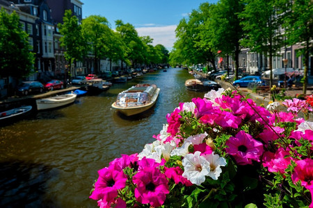 凡是过往皆为序章摄影照片_阿姆斯特丹运河与过往船只的看法在桥上的鲜花。专注于鲜花。荷兰阿姆斯特丹。阿姆斯特丹运河和鲜花
