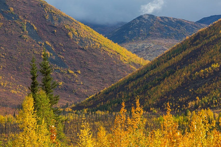 秋季北极圈上空的苔原地貌。美丽的自然背景。