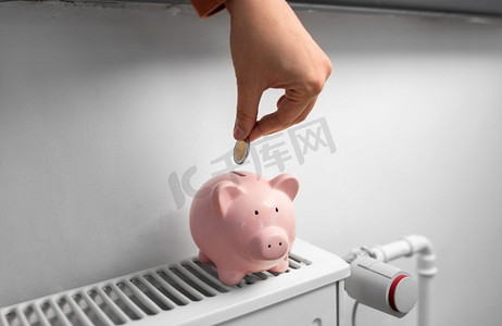  小猪，银行，暖气，散热器