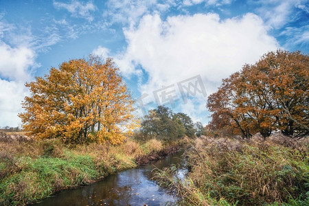 秋天的颜色在一条小河在秋天与树沿弯曲