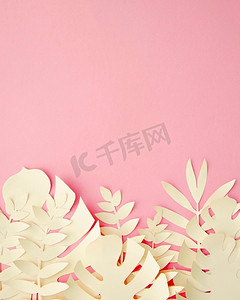丛林剪纸摄影照片_热带叶子剪纸风格粉红色