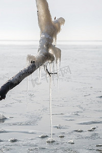 长冰柱挂在一个寒冷的早晨冻结的海面上