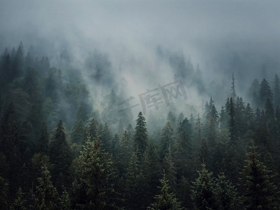 下雨的摄影照片_森林、丘陵、树木、背景