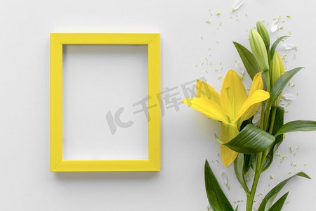 多彩相框摄影照片_高架视图新鲜黄色百合花空白空相框