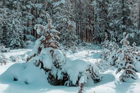 冰川地貌摄影照片_冬天，美国蒙大拿州冰川国家公园，风景秀丽的白雪覆盖的山峰。Instagram过滤器。