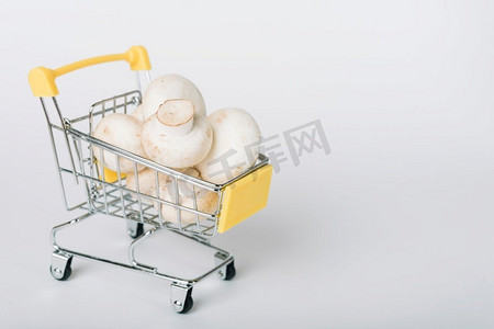 乐高小车摄影照片_购物车满蘑菇白色背景