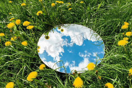 自然概念—天空反射在圆镜子在夏天的领域与红花。天空反射在圆镜在夏天的田野