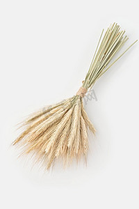 方形金穗花边摄影照片_高角度的生态种植的新鲜小麦小穗捆绑在一起，放置在白色背景上。有机小麦的金穗