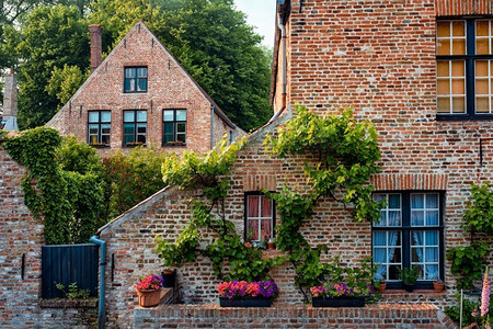 比利时摄影照片_老房子的Begijnhof Beguèt与鲜花在布鲁日镇。比利时布鲁日。老房子的Begijnhof Beguresin与花在布鲁日，比利时