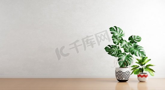 在室内植物罐的绿色植物与白色空的墙壁背景。室内建筑与自然概念。3D插图渲染