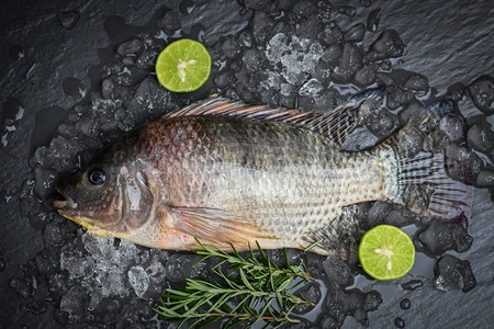 新鲜的原料罗非鱼鱼从罗非鱼农场，罗非鱼与冰在黑暗背景—顶视图