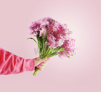 粉粉可爱摄影照片_在柔和的背景下，女人手持一束可爱的粉色花朵。前视图。