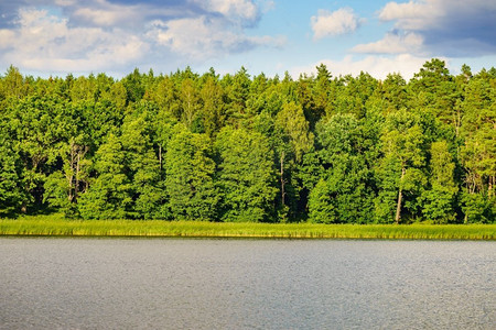 马苏摄影照片_波兰马苏里亚湖畔森林环绕的湖岸。欧洲绿色的夏日风光..波兰马苏里亚湖畔