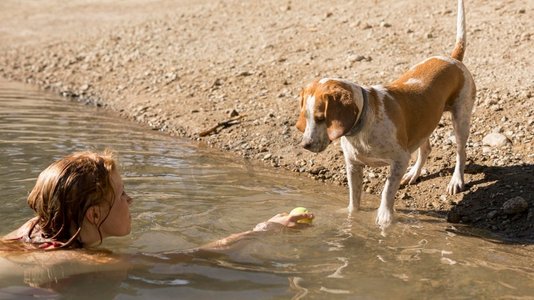 游泳的女人和坐在岸边的狗玩耍