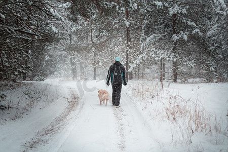 一个在白雪覆盖的森林里遛狗的人