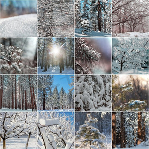冷淡摄影照片_冬季风景圣诞节背景拼贴画