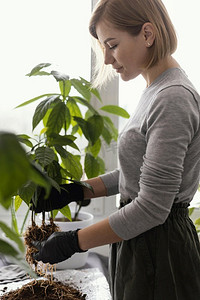 植物图标摄影照片_妇女饲养厂