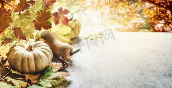 美丽的室外秋天背景与南瓜、秋天的叶子和阳光在灰色的具体桌子和黄色的叶子。前视图与复印空间。