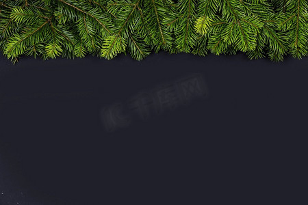 圣诞节绿色边框装饰摄影照片_圣诞边框用新鲜的冷杉树枝排列在黑色纸张背景上，复制文本空间。冷杉树枝的圣诞边框