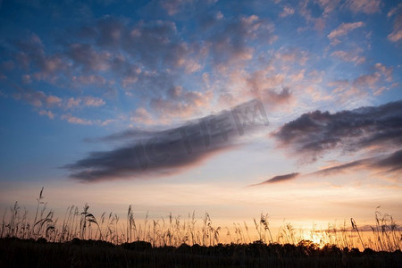英国萨默塞特郡春季湿地的美丽风景--日落