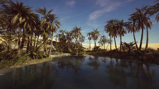 沙漠和绿洲摄影照片_荒漠绿洲的池塘和棕榈树