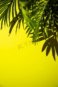 高视图绿色棕榈叶明亮的黄色背景