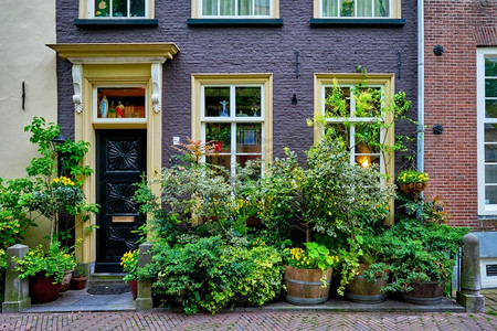 前面有茂盛植物的有门窗的老房子。代尔夫特，荷兰。前面长着茂盛植物的老房子。代尔夫特，荷兰