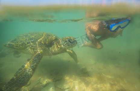 男孩游泳与一个巨大的海龟在海洋在斯里兰卡