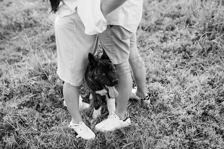 大狗散步与一个男孩和一个女孩在绿色草原