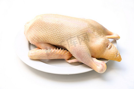 生鸭在白色背景，食物的新鲜鸭肉，整个鸭在白色盘子