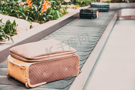 在机场的行李区，被绿色热带植物包围的传送带上的行李箱旅行背景
