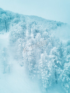 高山雪景摄影照片_一幅令人惊叹的冬季高山雪景景观。一场新的降雪后，雪山中的森林。雪山冬林