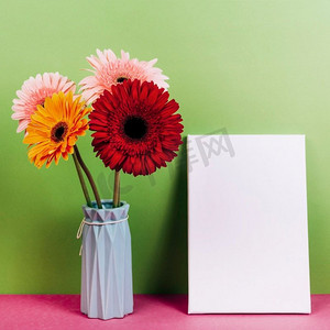 空白卡摄影照片_五颜六色的非洲菊花瓶近空白卡反对绿色背景