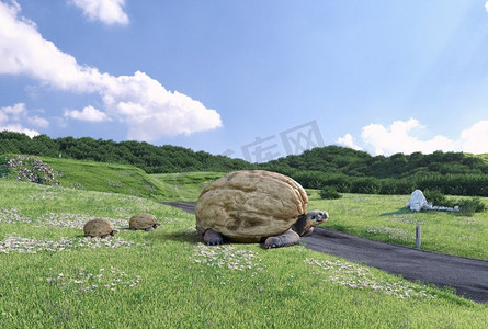 巨型胡桃龟世界创意3d幻想插图