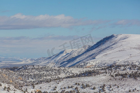 圣诞树木摄影照片_冬季积雪覆盖山