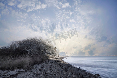sunbeam摄影照片_开花的树在鹅卵石海滩在清晨与升起的太阳在安静的水