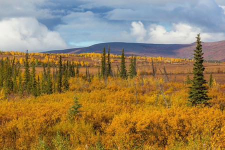 北极圈摄影照片_秋季北极圈上空的苔原地貌。美丽的自然背景。