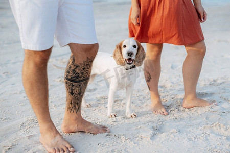 沙滩衣服摄影照片_年轻夫妇橙色衣服与狗在空沙滩