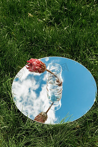 天空大自然摄影照片_大自然的概念--花瓶里的洋蓟花，圆镜里的天空映照着夏日的田野。朝鲜蓟花和镜中的天空倒影