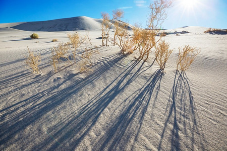 荒凉的背景摄影照片_风景如画的沙漠沙丘。自然的背景。