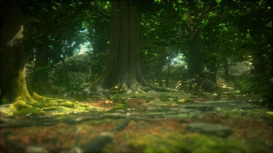 树背景绿色摄影照片_森林里地板上美丽的绿色苔藓