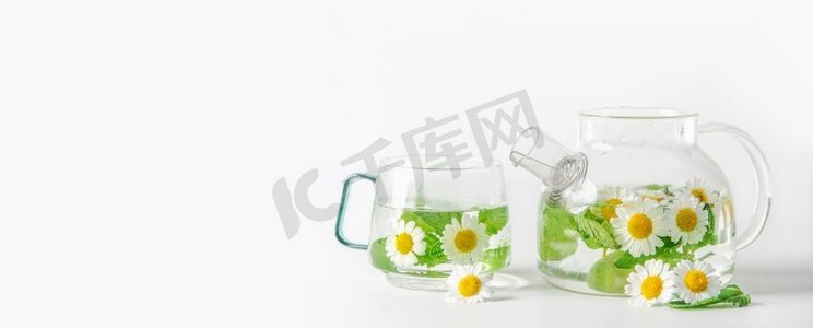 草本茶设置与新鲜的洋甘菊花和薄荷在玻璃罐和杯在白色背景。健康饮料。热饮料。前视图。