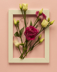 框海报摄影照片_用美丽的玫瑰框住女人S的日子