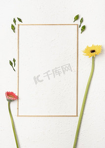 花与简单的框架白色背景