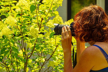 妇女与相机采取的照片花。妇女与相机采取照片的花