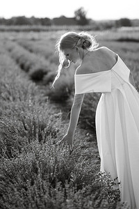 穿着白色连衣裙的新娘走在薰衣草田野上
