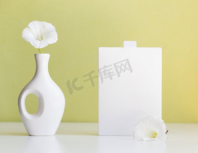 盒子展示摄影照片_化妆品产品模拟与白色盒子和花瓶在浅绿色背景