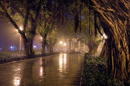 中环摄影照片_晚间雾蒙蒙的广州人民S公园。广州，中国。广州人S夜雾公园，中国
