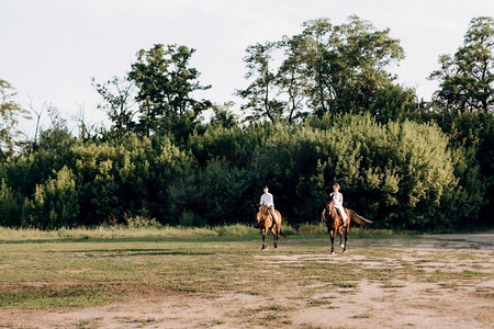 背心裙摄影照片_一个女孩在一个白色背心裙和一个男人在一个白色衬衫散步与棕色的马在村庄